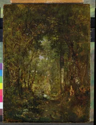 Im Wald von Fontainebleau